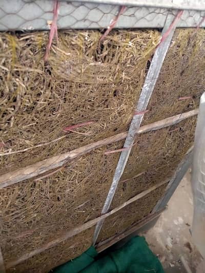 Lahori Air cooler for sale
