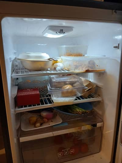 Kenwood Refrigerator BKG Persona Plus with Beetro Stabilizer
