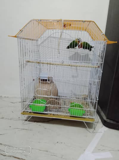 cage. 2