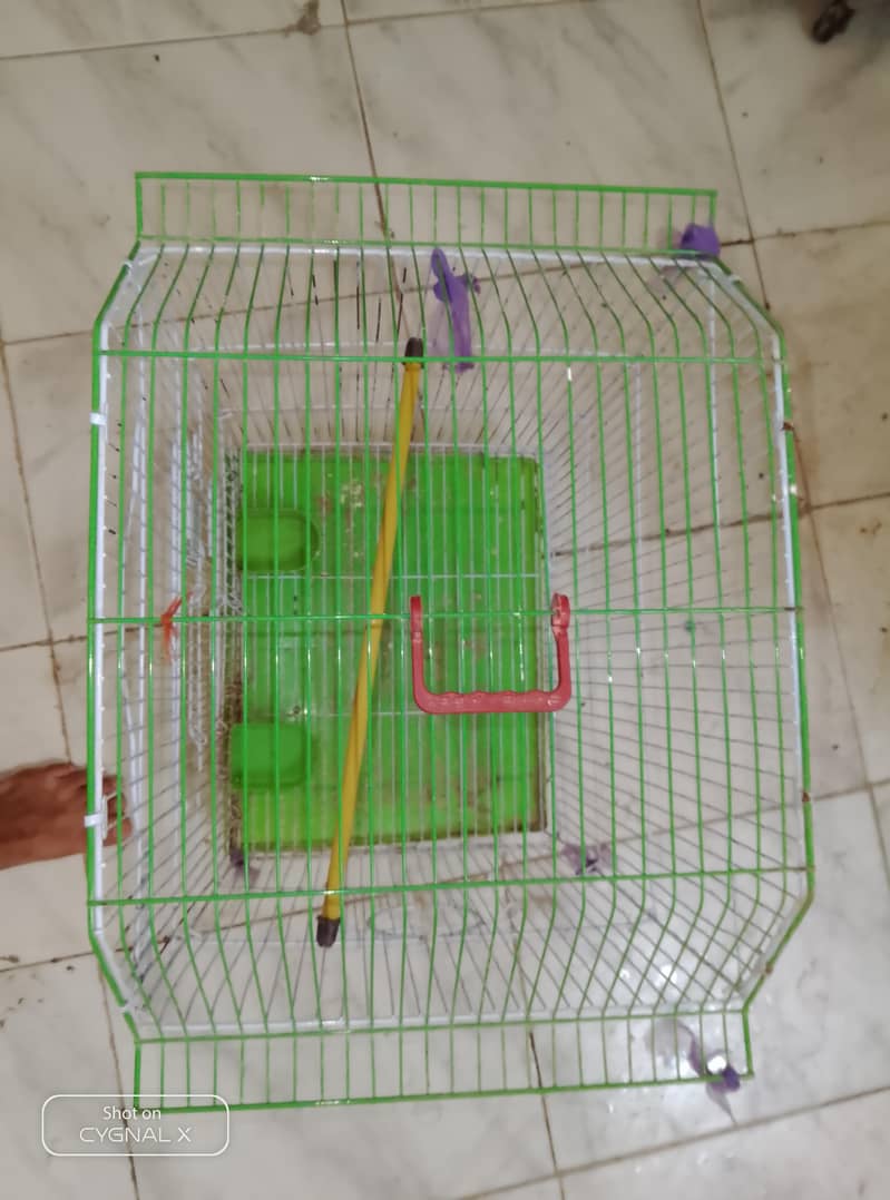 cage. 2 4