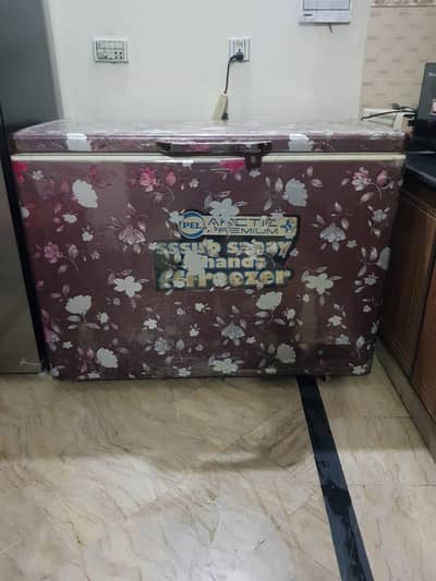 Pel D Freezer for sale 10 by 10 Condition