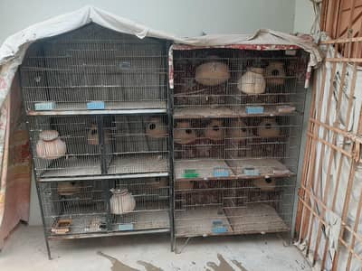 cage for sale