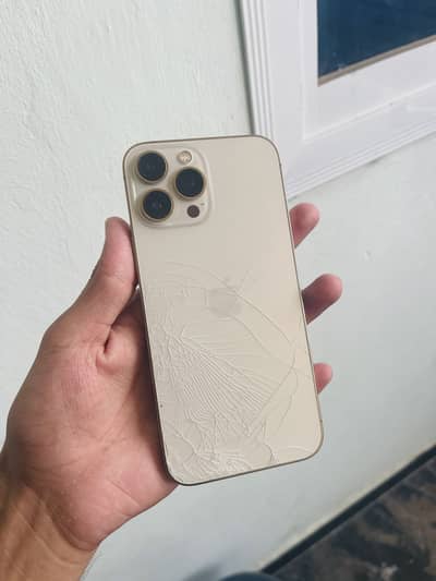 Apple iPhone 13 Pro Max jv