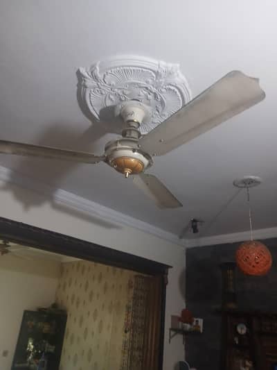ceilling fan for sale
