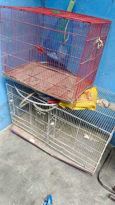 3 cage