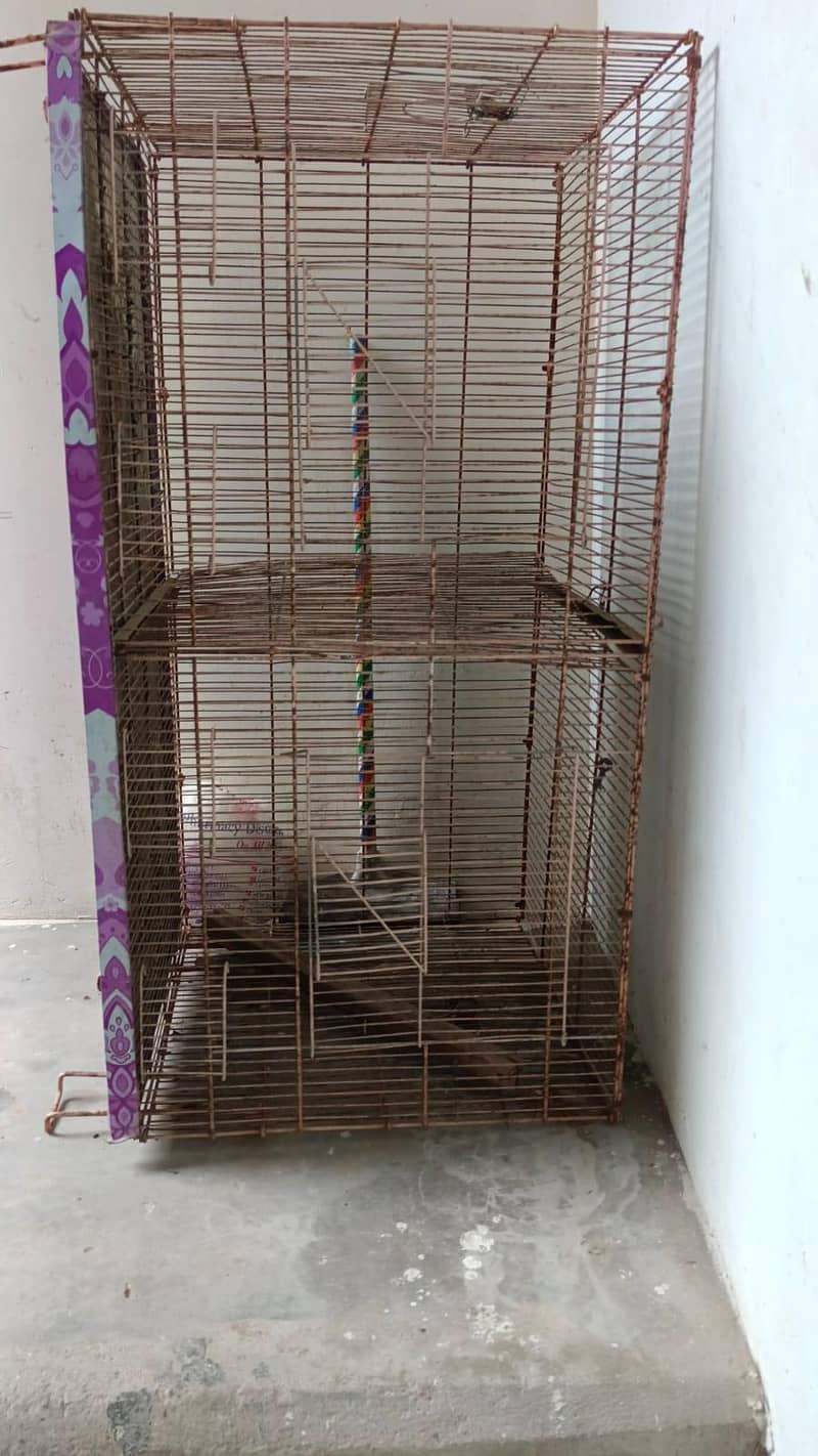3 cage 1