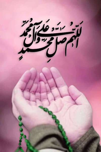 noor ayesha
