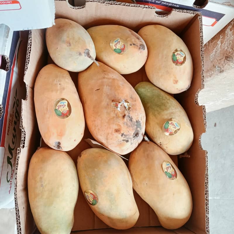 bahi mango  0
