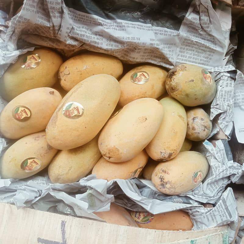 bahi mango  1
