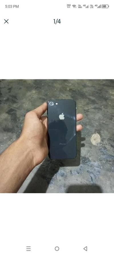Apple iPhone 8.03187619902 WhatsApp per contact Karen