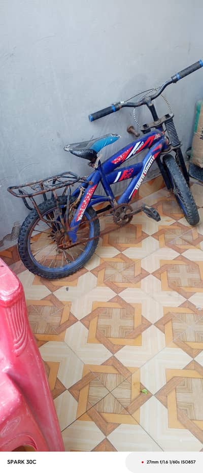 Kids Bicycle for Sale