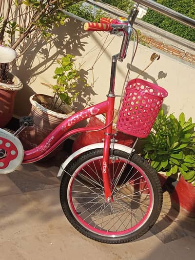 Cf Bike