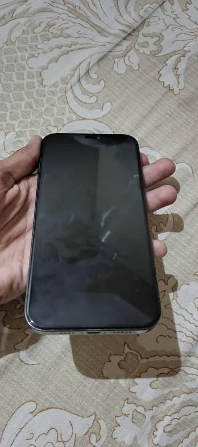 Apple iPhone 12 Pro Max