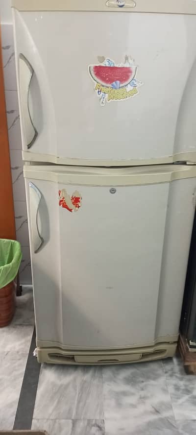 PEL FRIDGE