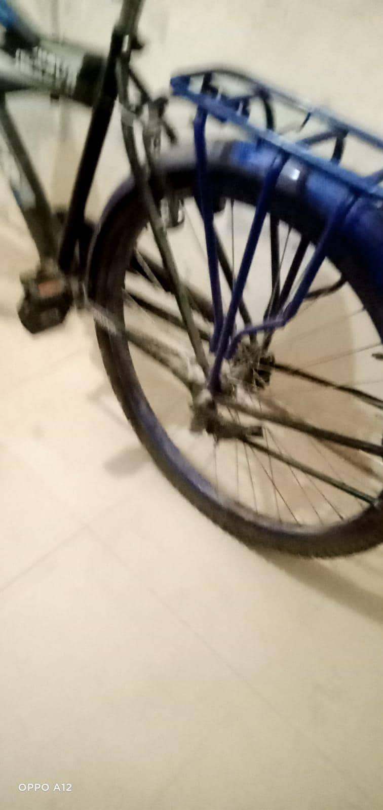 new cycle 1