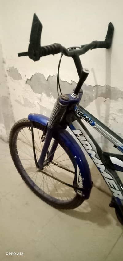 new cycle