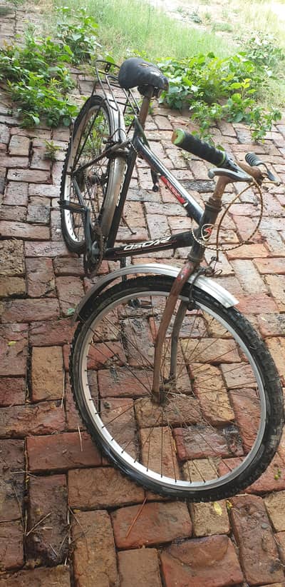 cycle