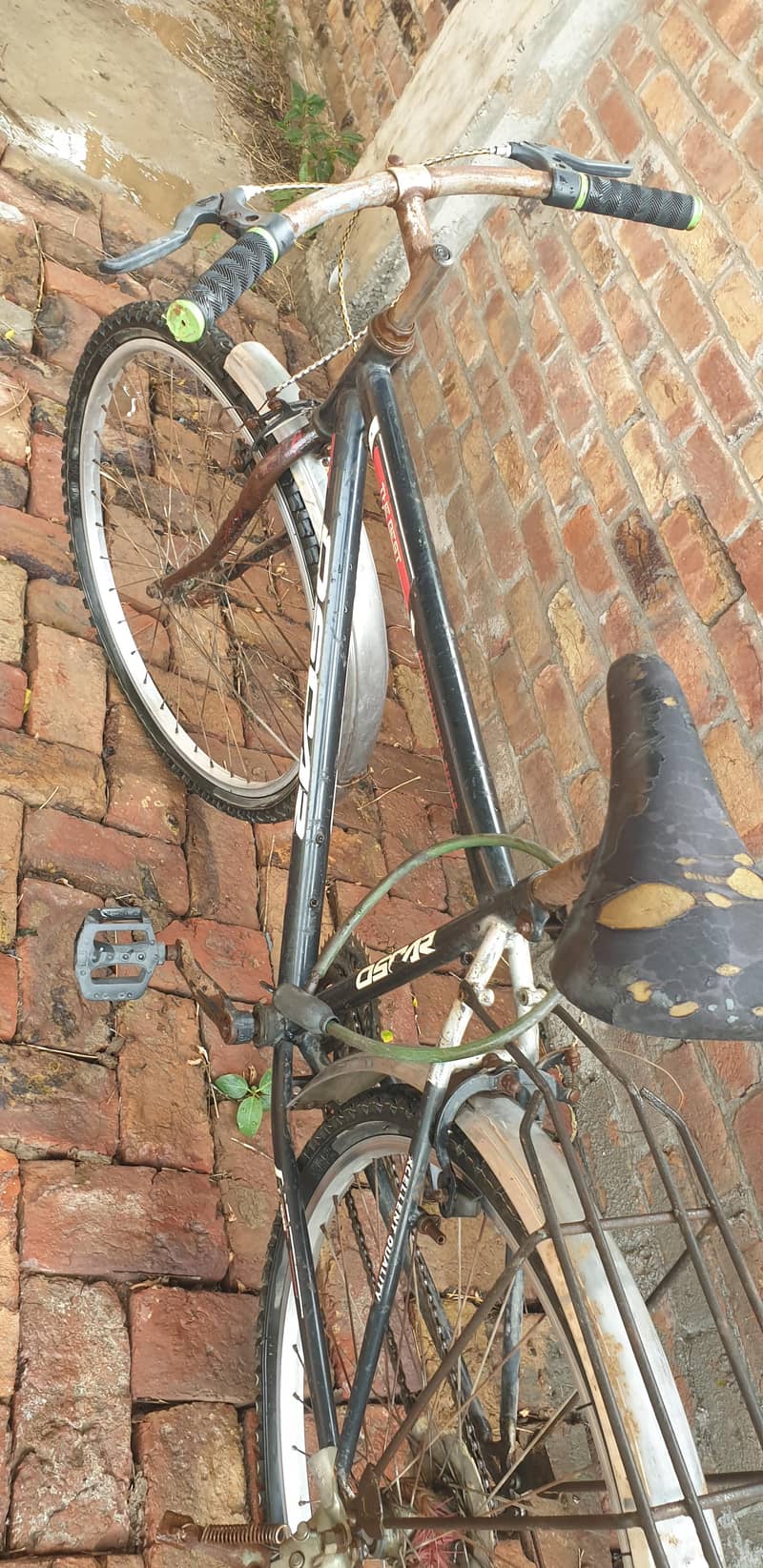 cycle 3