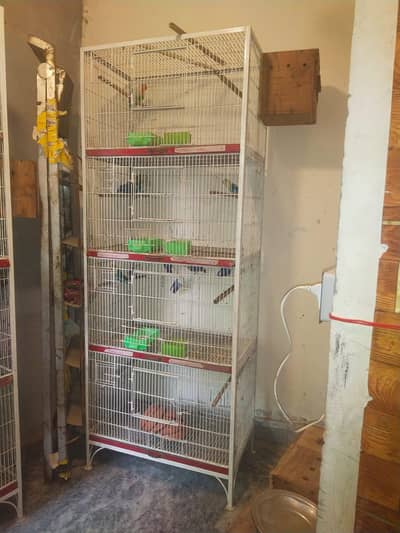 Cage for Love birds