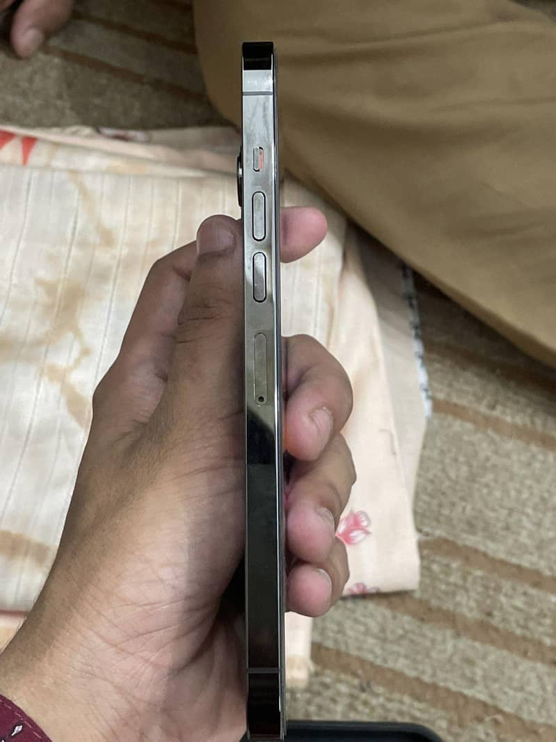 Apple iPhone 13 Pro Max 3