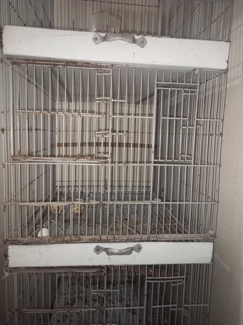 cages 1