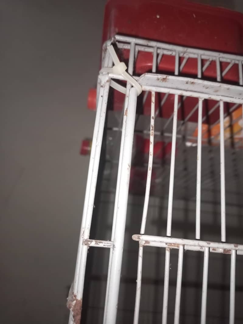 cages 2
