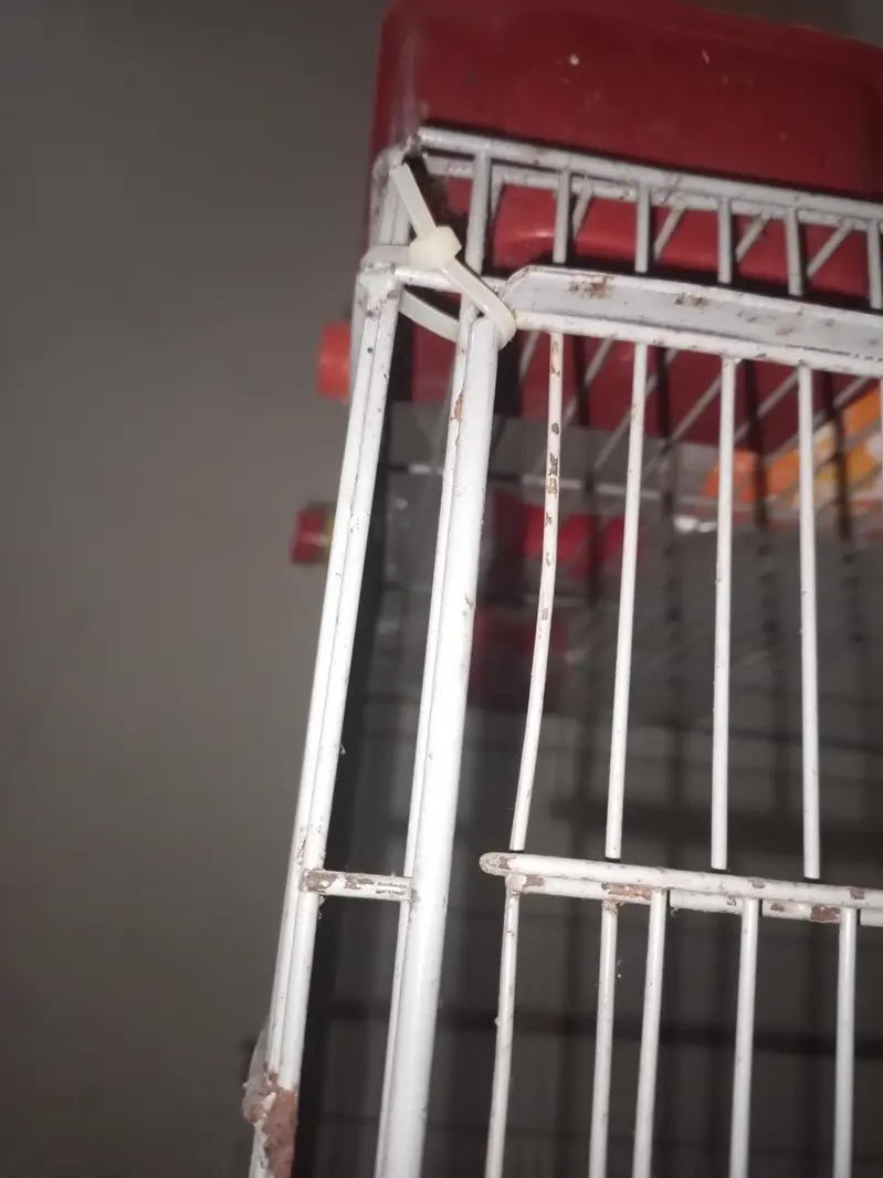 cages — photo 3