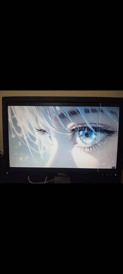 dell LCD 17 inch