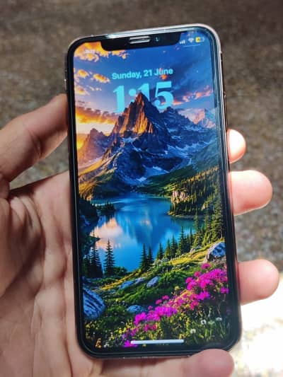 iPhone XS PTA approve