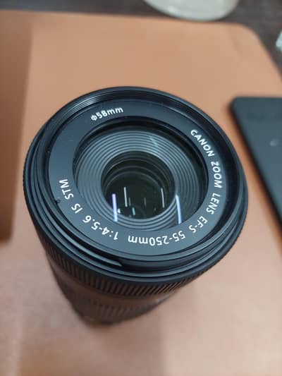 Canon EF-S 55-250mm f/4-5.6 IS STM
