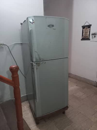 Haier