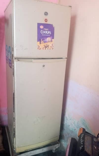 PEL Refrigerator Big Size for Sale
