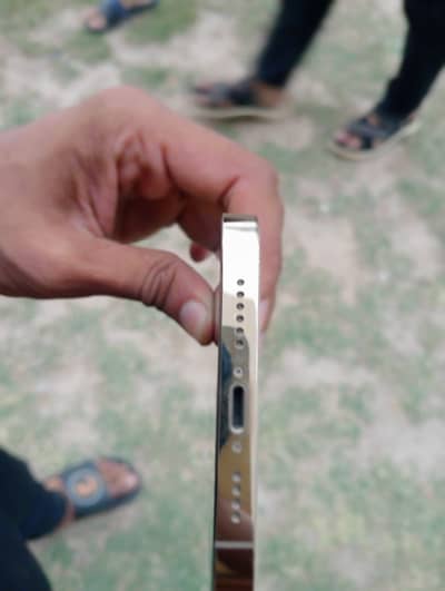 Apple iPhone 12 Pro Max