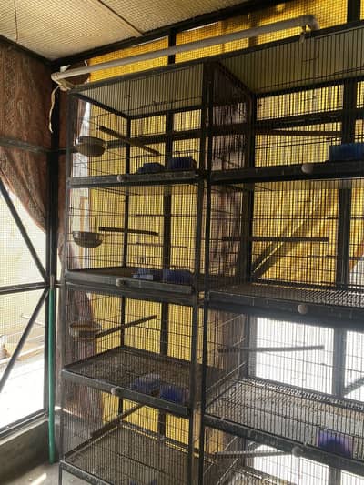 Birds cage available spot welding 5 cages