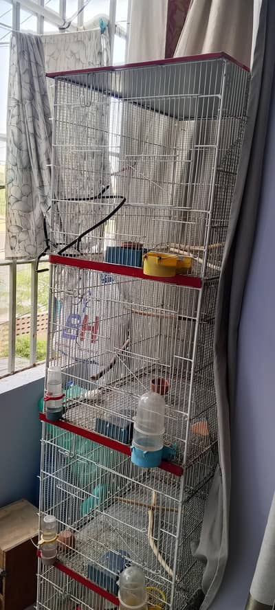 4 portion cage in excellent condition