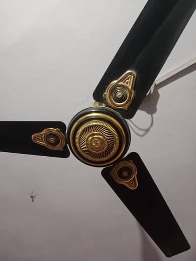 G F C fan