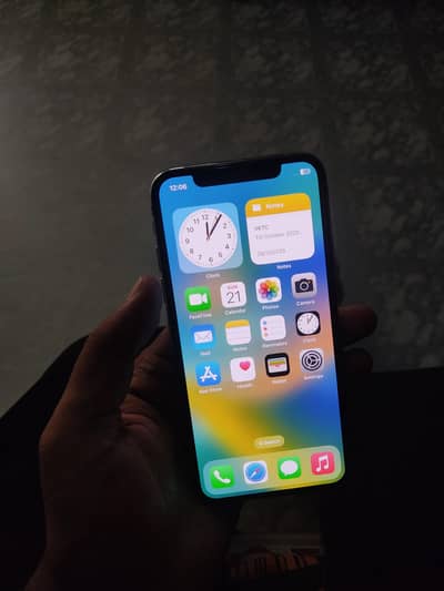 Apple iPhone X