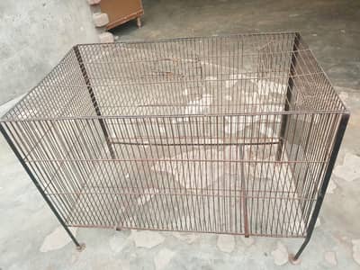 Alexander Parrot   Cage for Sale 2.5 ft x 1.5 ft