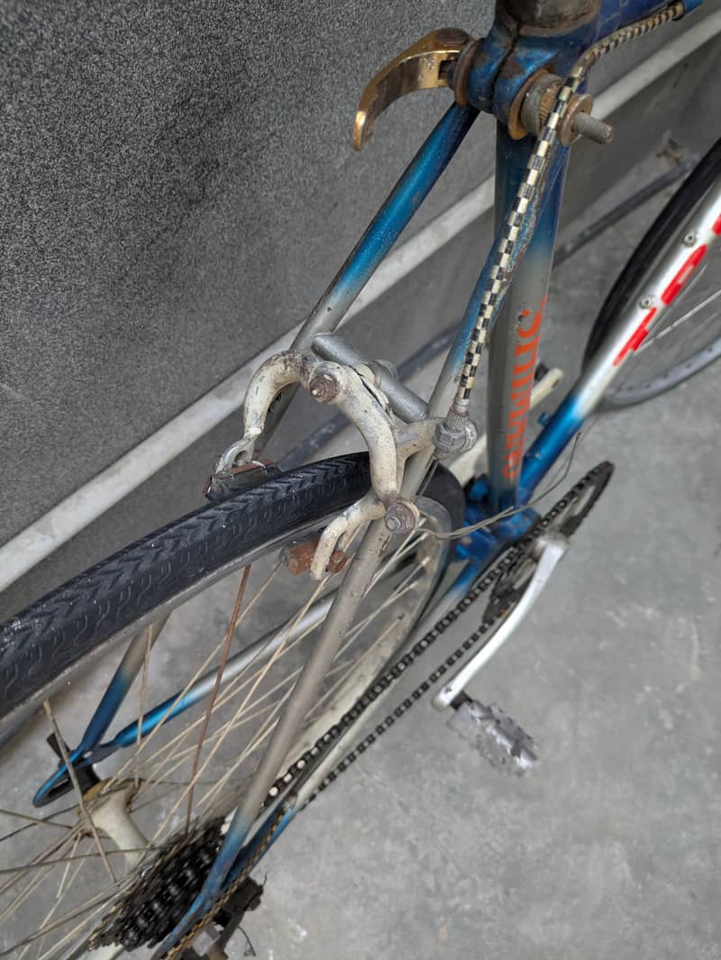 Racing cycle 6