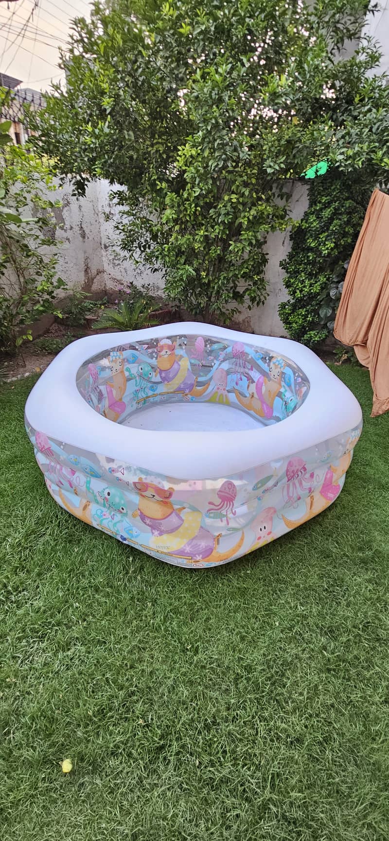 Swimming pool 3