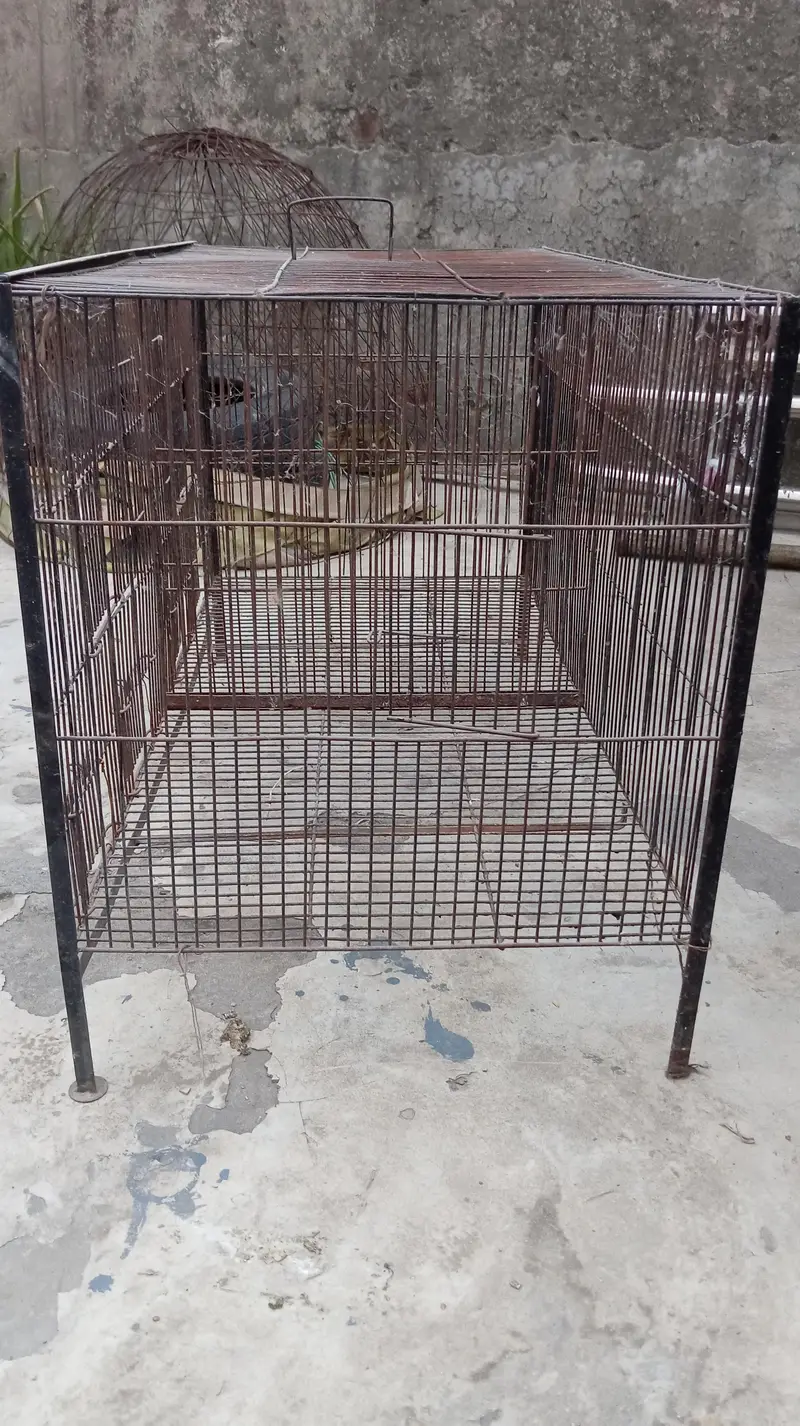 partition cage for sale — photo 2