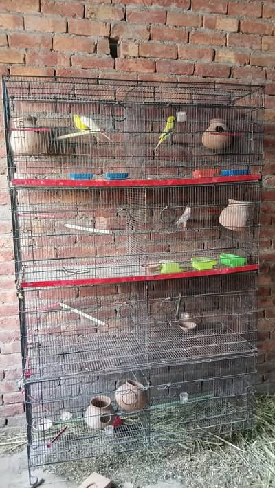 folding cage 1.5 by 1.5 4 portion