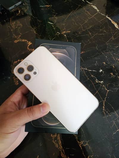 Apple iPhone 12 Pro Max