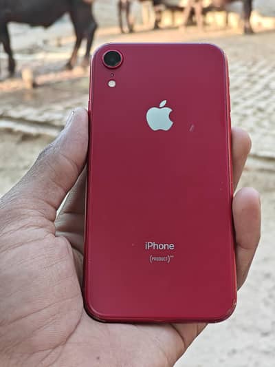 Apple iPhone XR