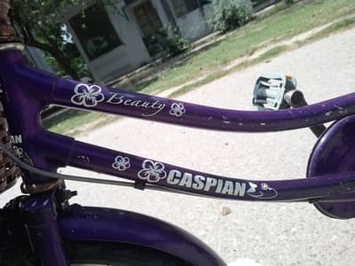 ORIGINAL JAPANESE CYCLE