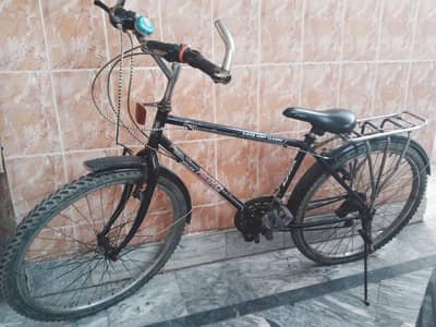 Phoenix Hybrid Cycle Good condition