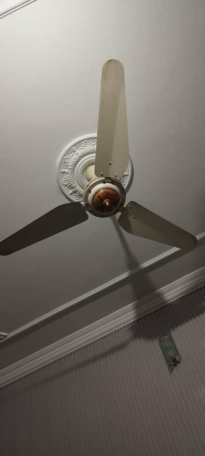 ceiling fan 56" sufi fan