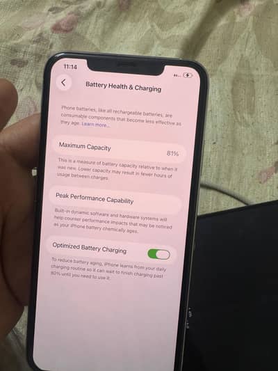 Apple iPhone XS Max panel