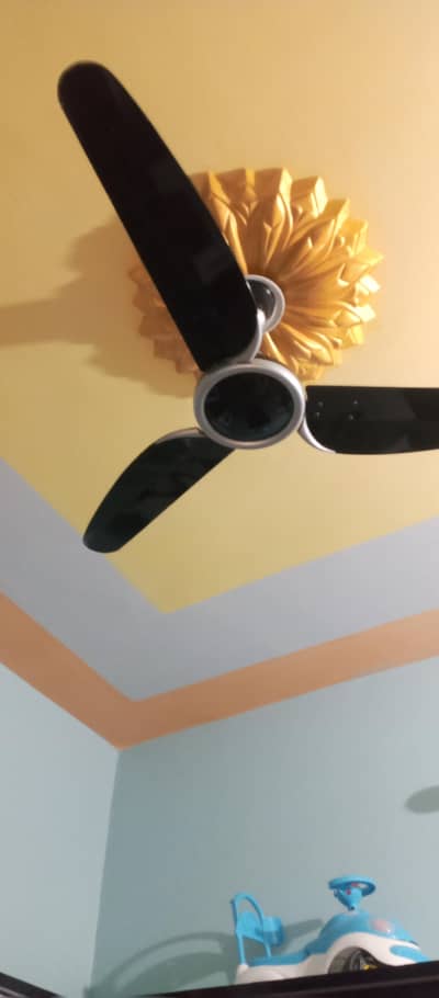 ROYAL COMPANY AC FAN CONDITION 10BY10