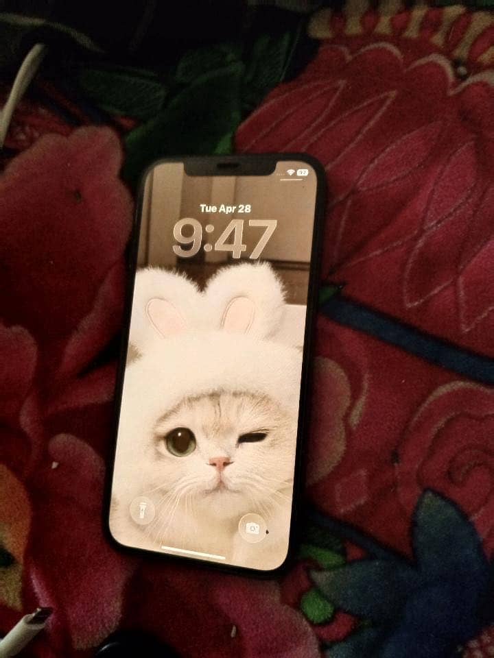 Apple iPhone 12 0
